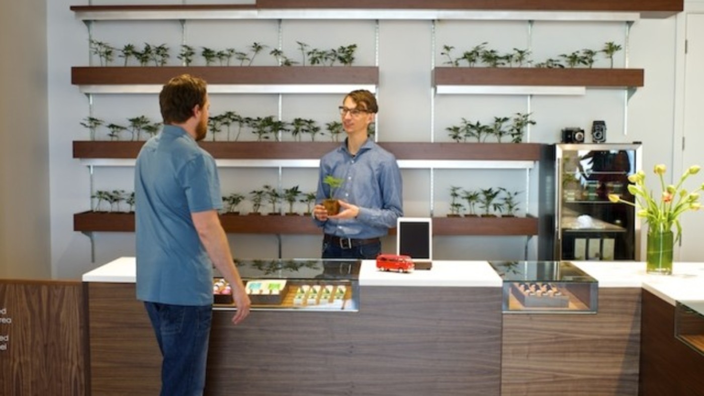 Techniques of finding the best cannabis dispensary