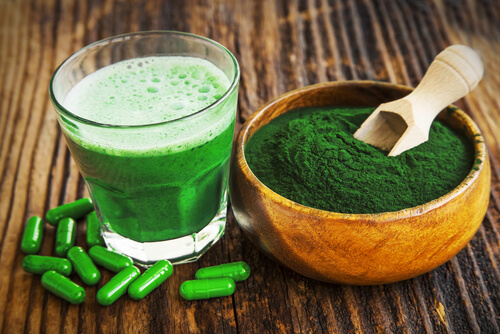 Tips for Buying the Best Greens Supplement Powder