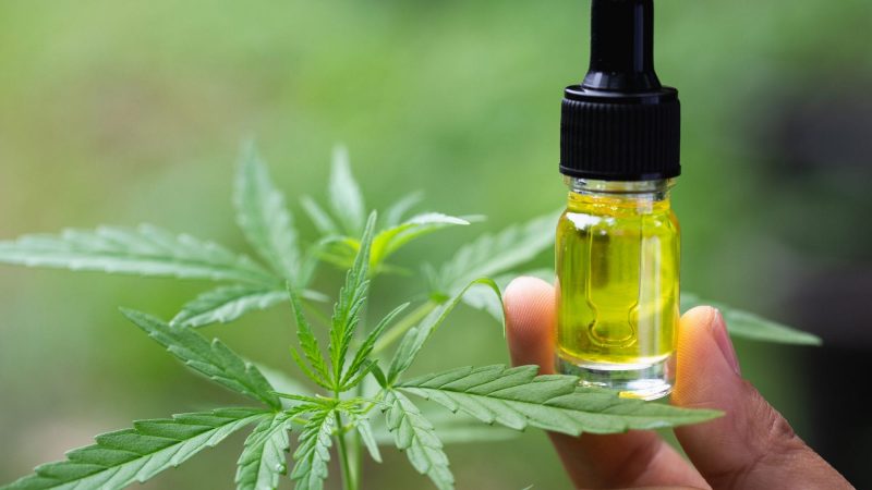 Drug Addiction and CBD Oils – What You Need to Know