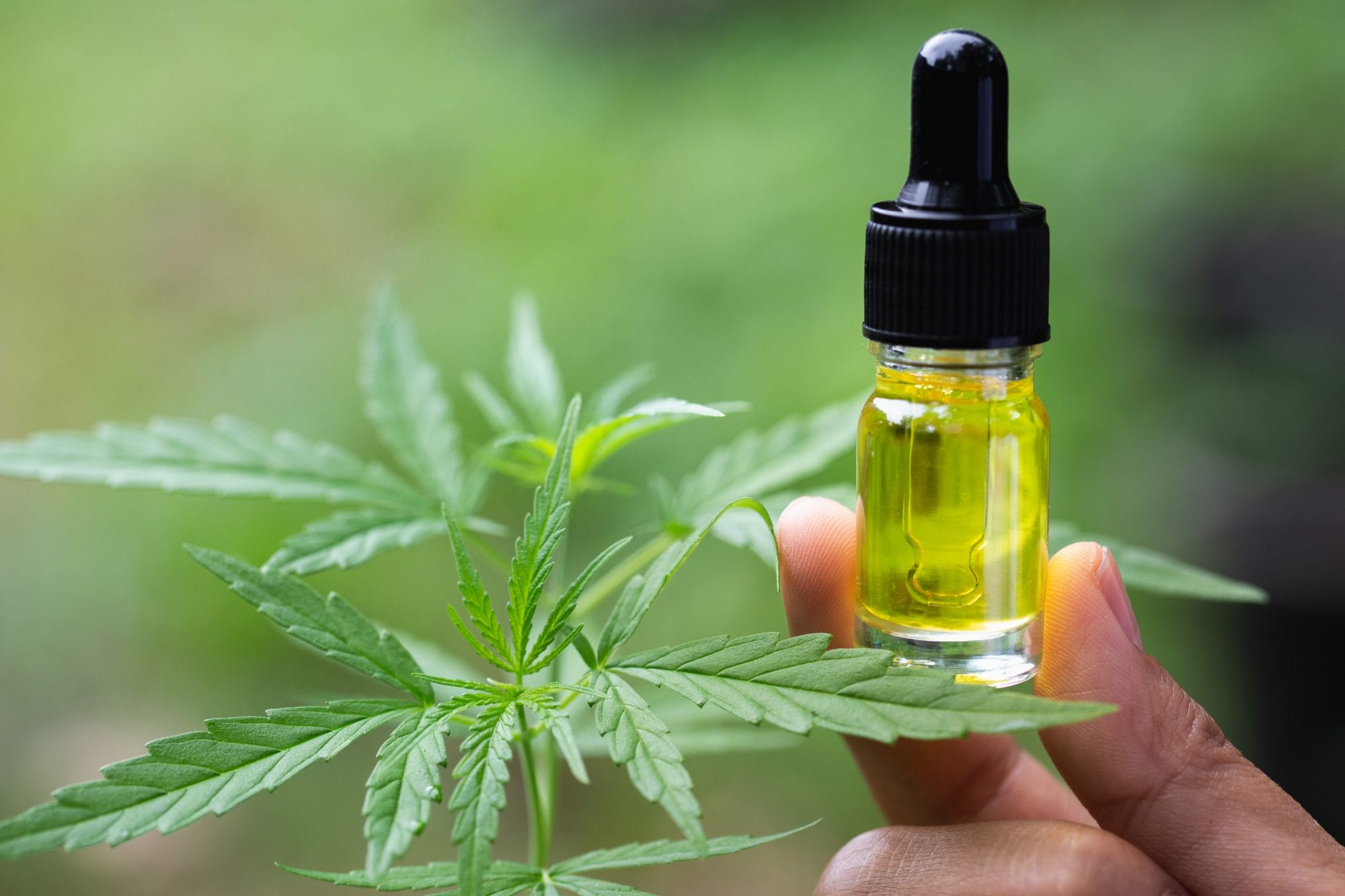 Drug Addiction and CBD Oils – What You Need to Know