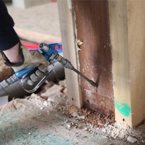 Factors To Consider For Choosing The Right Termite Exterminator
